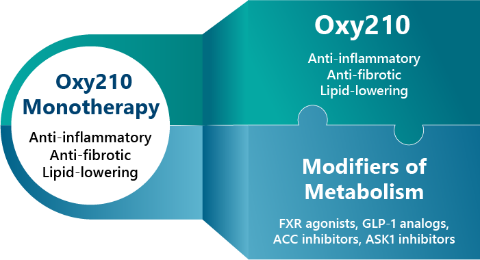 Cellular Senescence Diagram